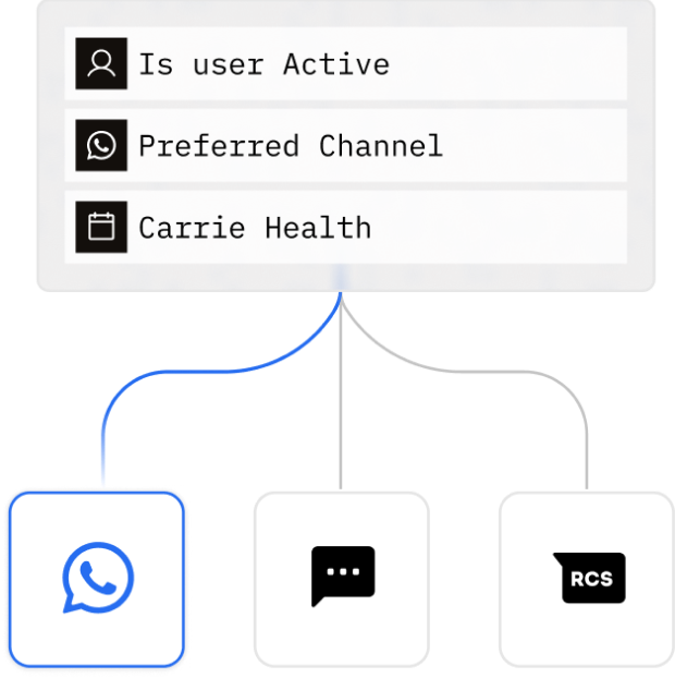 Sent checking whether the user is active, their preferred channel and carrier health before choosing WhatsApp